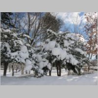 pict013.jpg