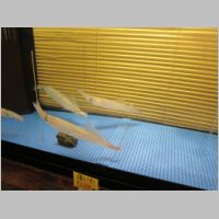 pict016.jpg