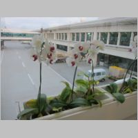 pict0002.jpg