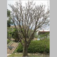 pict0034.jpg