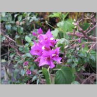 pict0059.jpg