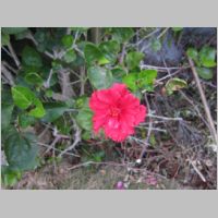 pict0063.jpg