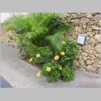 pict0114.jpg