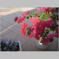 pict0174.jpg