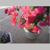 pict0176.jpg