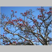 pict0178.jpg