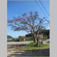 pict0179.jpg