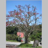 pict0213.jpg