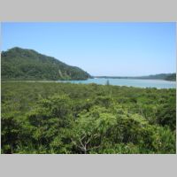 pict0216.jpg
