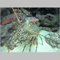 pict0293.jpg