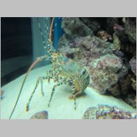 pict0294.jpg