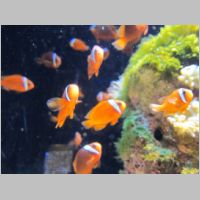 pict0299.jpg