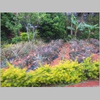 pict0322.jpg