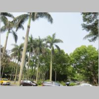 pict026.jpg