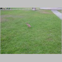 pict045.jpg