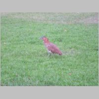 pict046.jpg