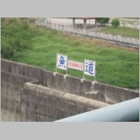 pict109.jpg
