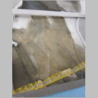 pict171.jpg