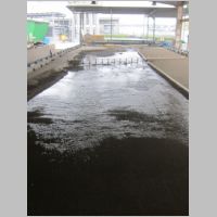 pict175.jpg