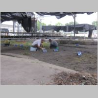 pict184.jpg