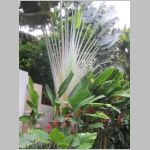 pict133.jpg