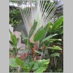 pict134.jpg