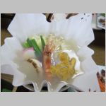pict059.jpg