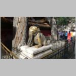 wat017.jpg