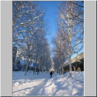 pict003.jpg