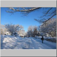 pict013.jpg