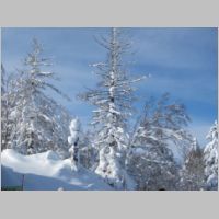 pict003.jpg