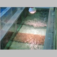 pict003.jpg