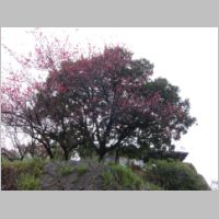 pict050.jpg