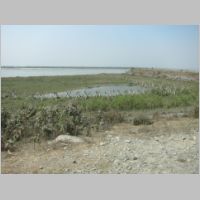 pict108.jpg