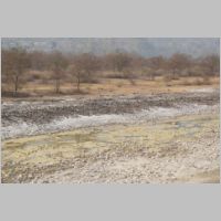 pict133.jpg