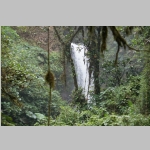 pict258.jpg