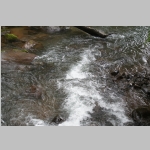 pict259.jpg