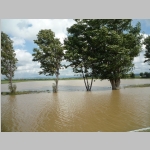 pict006.jpg