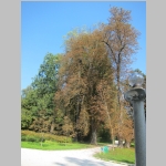 pict031.jpg