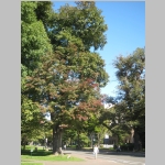 pict004.jpg