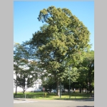 pict005.jpg