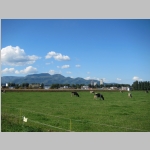 pict011.jpg