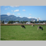 pict012.jpg
