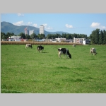 pict013.jpg