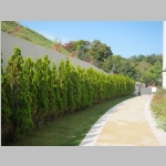 pict003.jpg
