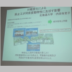 pict010.jpg