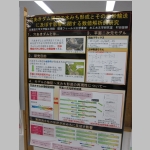 pict039.jpg