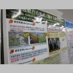 pict061.jpg
