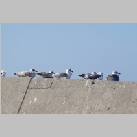 pict087.jpg