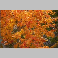 pict088.jpg